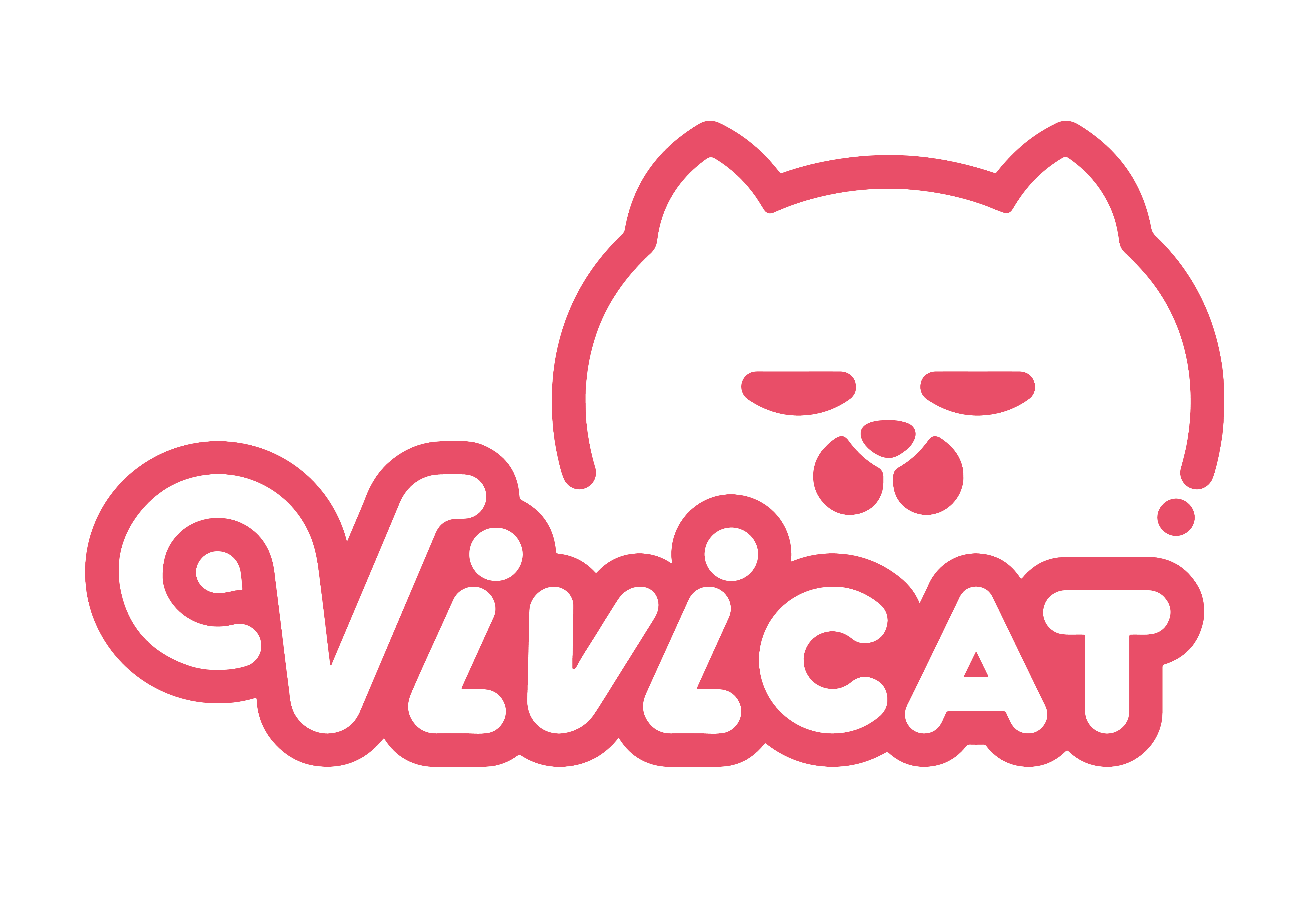 vivicat